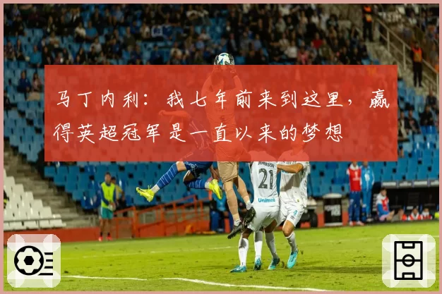 马丁内利：我七年前来到这里，赢得英超冠军是一直以来的梦想