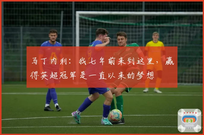 马丁内利：我七年前来到这里，赢得英超冠军是一直以来的梦想